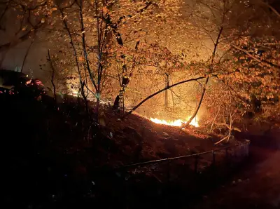 NYC had 250+ wildfires in 2 weeks last year. Lawmakers want a plan for future ones.