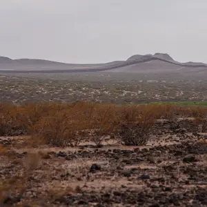 Judge Dismisses ‘Trespassing’ Charges Promoted by Trump in Border ‘Defense Area’