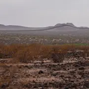 Judge Dismisses ‘Trespassing’ Charges Promoted by Trump in Border ‘Defense Area’