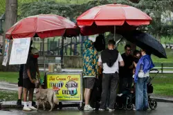 Boston weather: Rainy spring week incoming